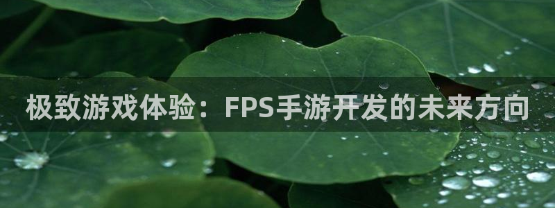 V8娱乐注册：极致游戏体验：FPS手游开发的未来方向