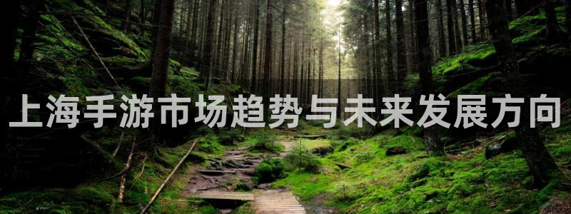 V8娱乐注册：上海手游市场趋势与未来发展方向