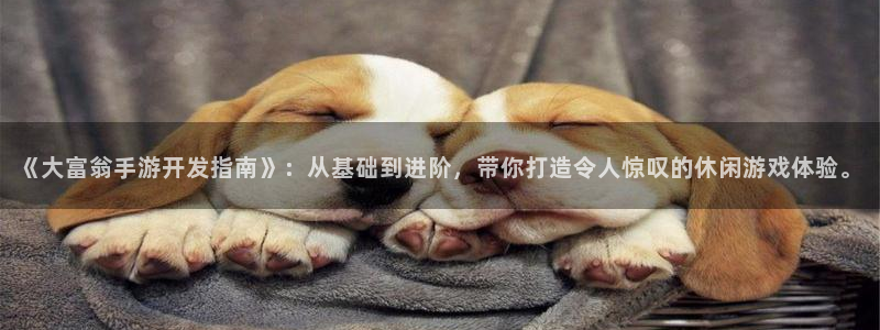V8娱乐平台：《大富翁手游开发指南》：从基础到进阶，带你打造