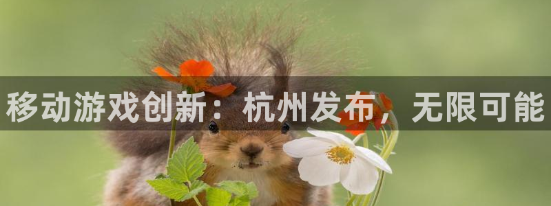 V8娱乐网：移动游戏创新：杭州发布，无限可能