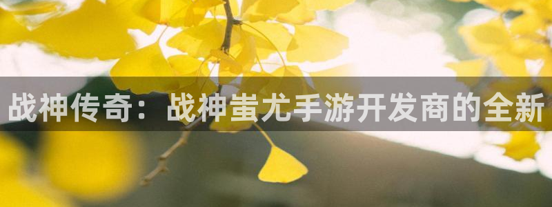 V8娱乐平台：战神传奇：战神蚩尤手游开发商的全新