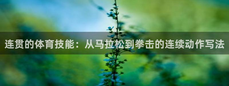 谈球吧