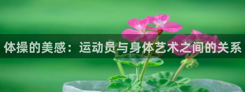 谈球吧体育官网