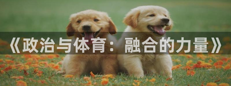 谈球吧体育官网