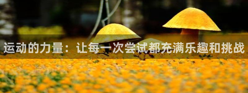 谈球吧