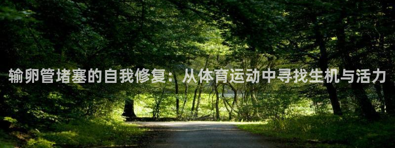 谈球吧