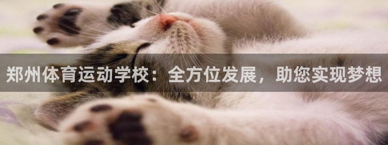 谈球吧体育官网