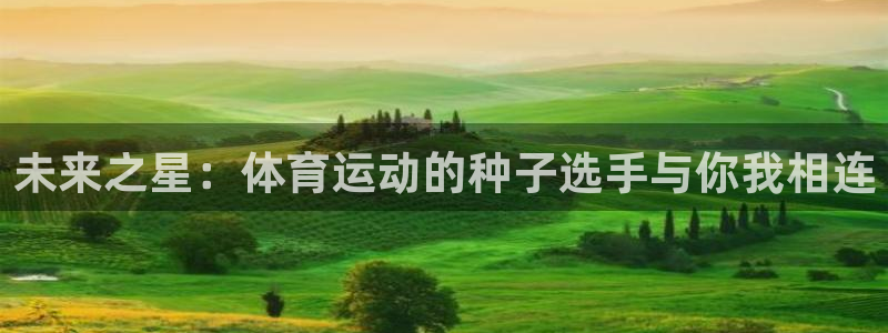 谈球吧体育官网